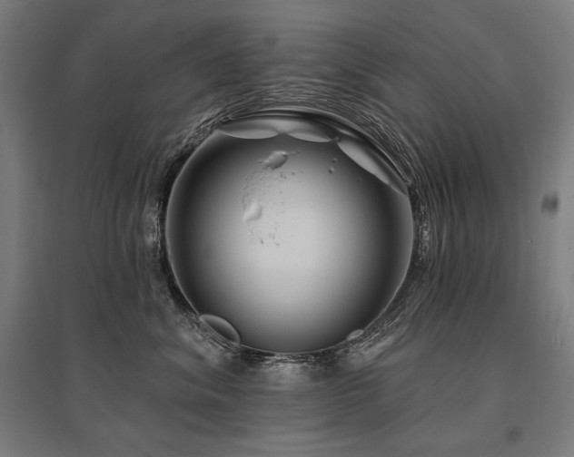 X0000096170620200801181251