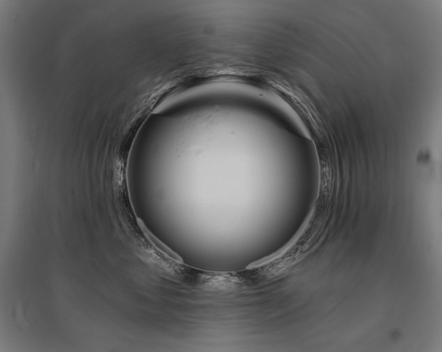 X0000096170621200801181251