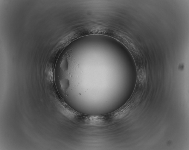 X0000096170622200801181251