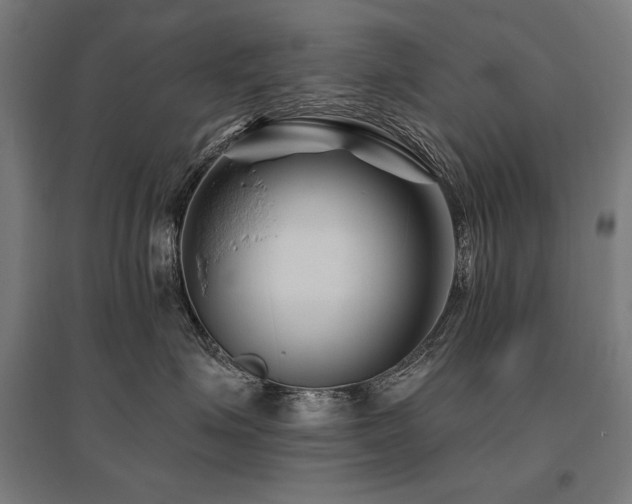 X0000096170623200801181251