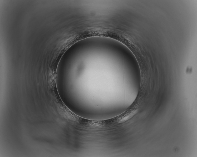 X0000096170624200801181251