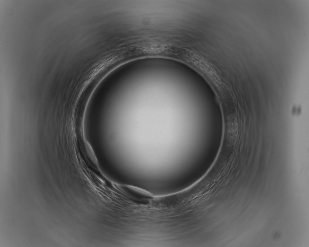 X0000096170626200801181250