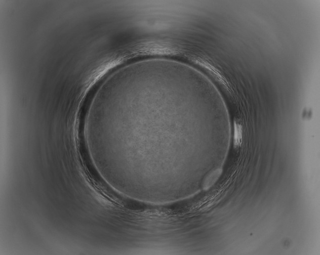 X0000096170627200801181250