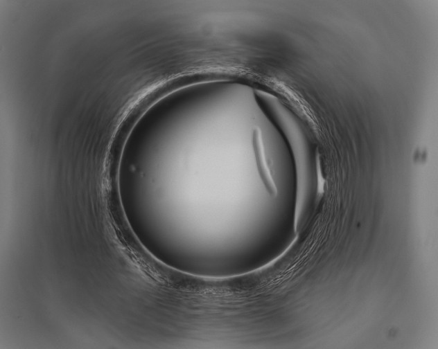 X0000096170628200801181250