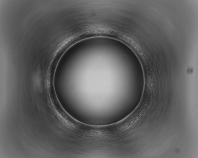 X0000096170629200801181250