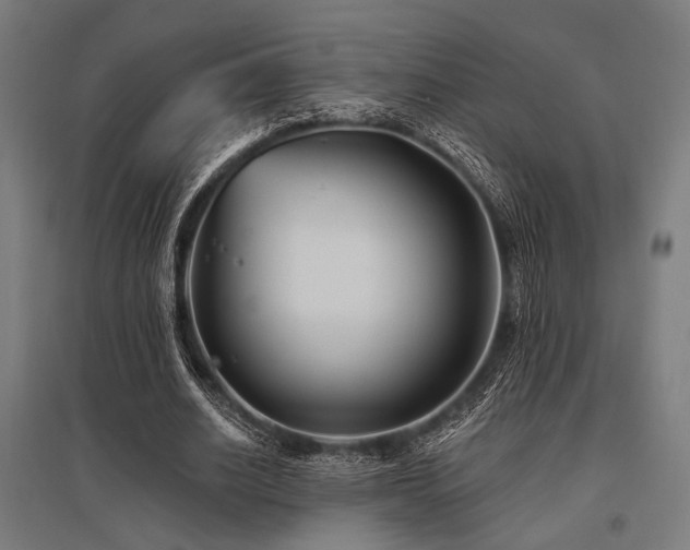 X0000096170630200801181250