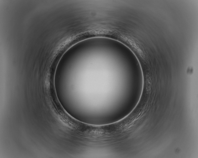 X0000096170631200801181250