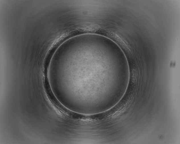 X0000096170634200801181250