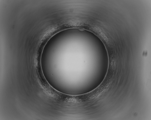X0000096170635200801181250