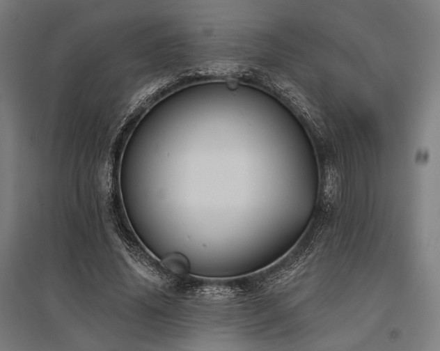 X0000096170636200801181250