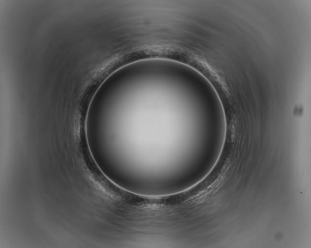 X0000096170637200801181250