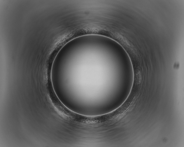 X0000096170638200801181250