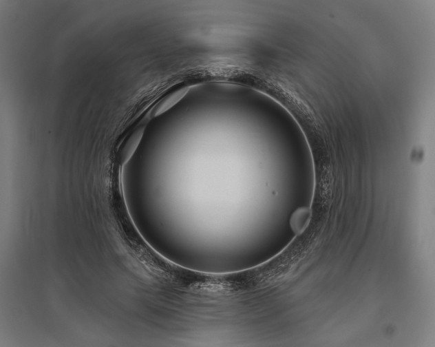 X0000096170639200801181250