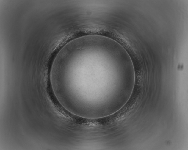 X0000096170642200801181250