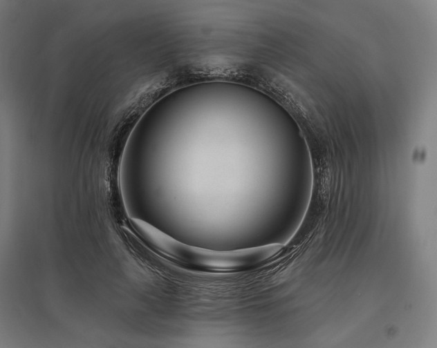 X0000096170643200801181250