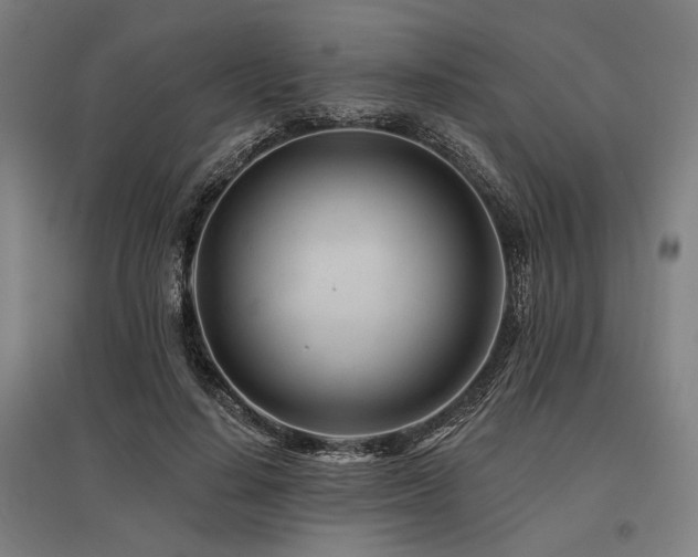 X0000096170644200801181250