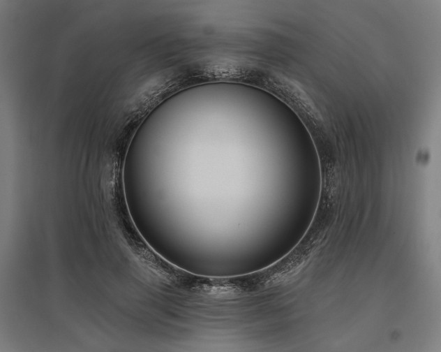 X0000096170645200801181251