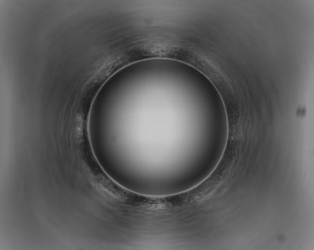 X0000096170646200801181251