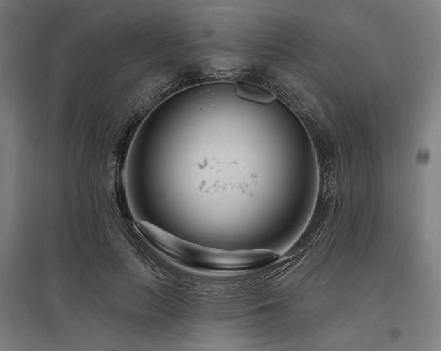 X0000096170647200801181251