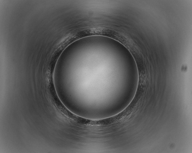 X0000096170648200801181251