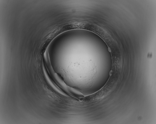 X0000096170649200801181251