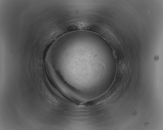 X0000096170650200801181251