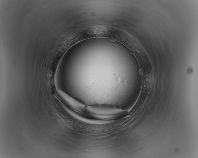 X0000096170651200801181251