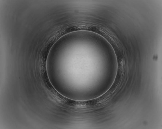 X0000096170653200801181251