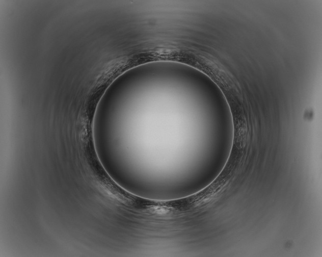 X0000096170654200801181251