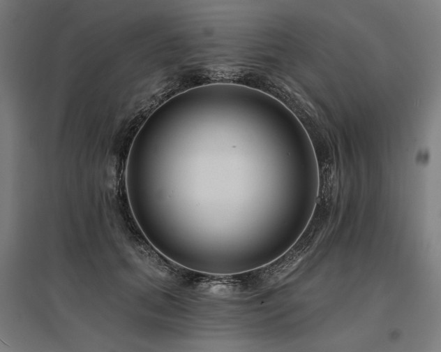 X0000096170655200801181251
