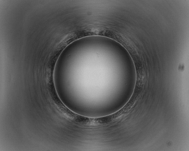 X0000096170656200801181251