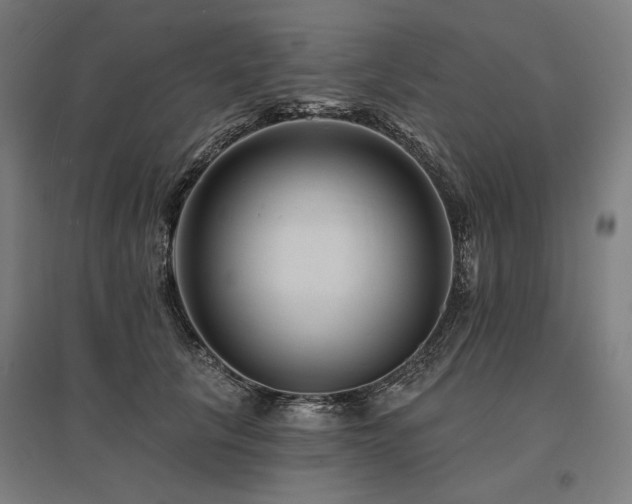 X0000096170657200801181251