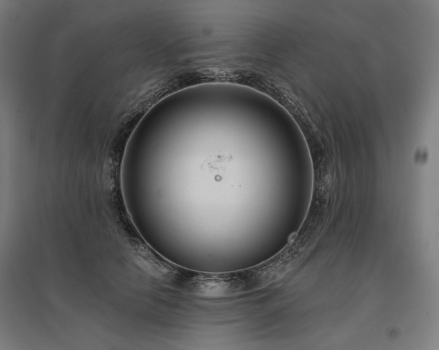 X0000096170658200801181251