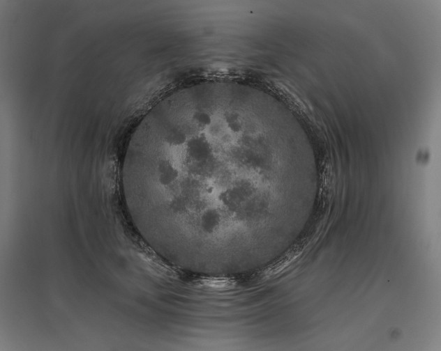 X0000096170659200801181251
