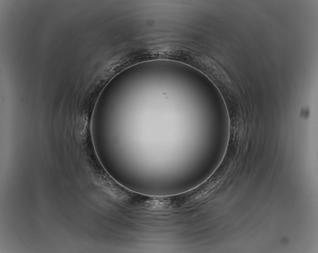 X0000096170660200801181251
