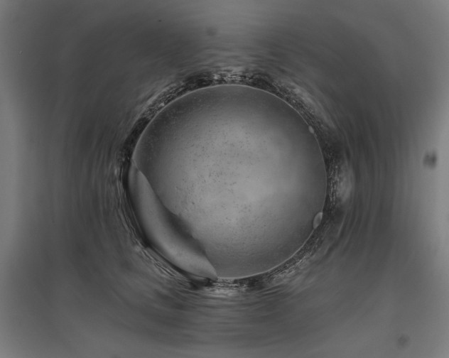 X0000096170661200801181251