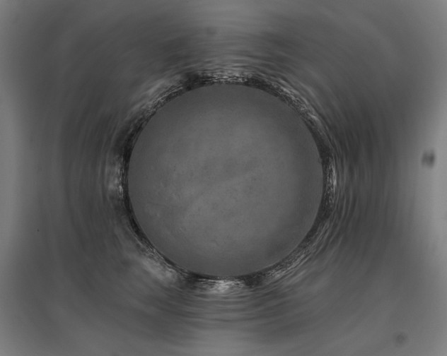 X0000096170663200801181251