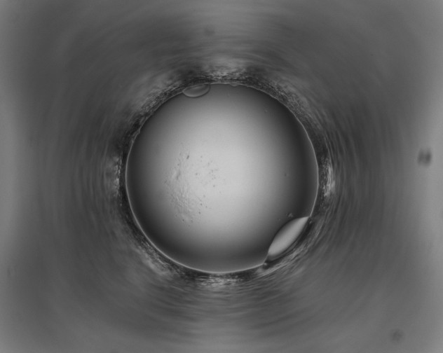 X0000096170664200801181251