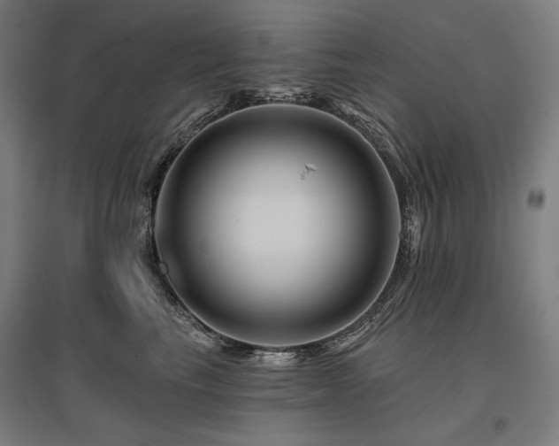 X0000096170665200801181251