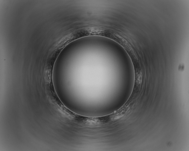 X0000096170666200801181251