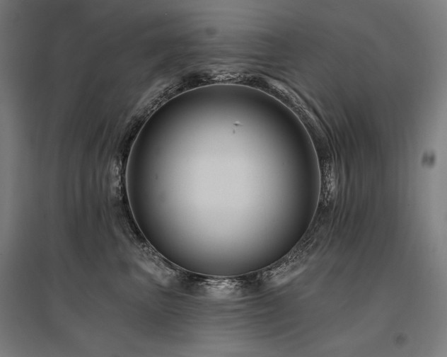 X0000096170667200801181251