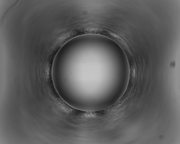 X0000096170668200801181251