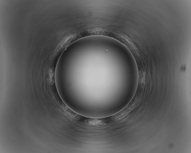 X0000096170669200801181251