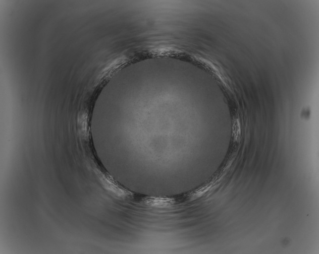 X0000096170670200801181251