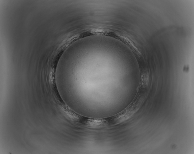 X0000096170671200801181251