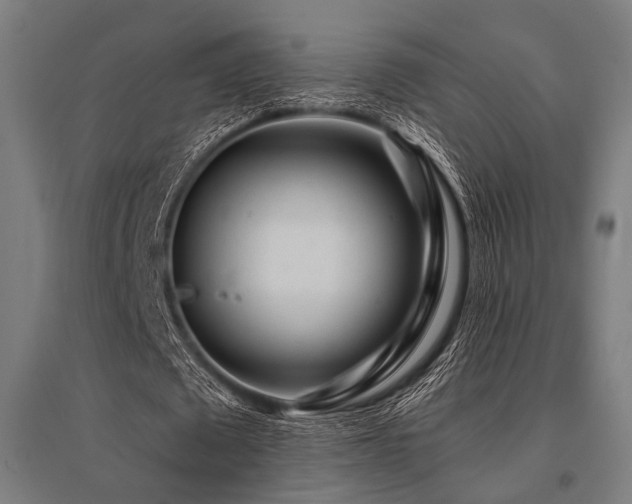 X0000096170673200801181250