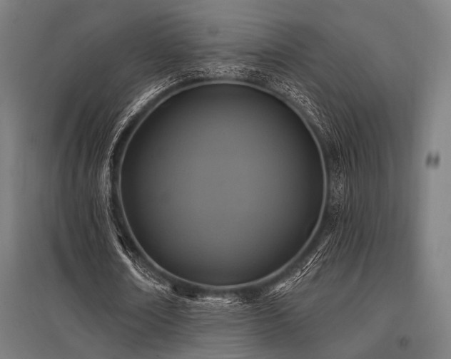 X0000096170674200801181250