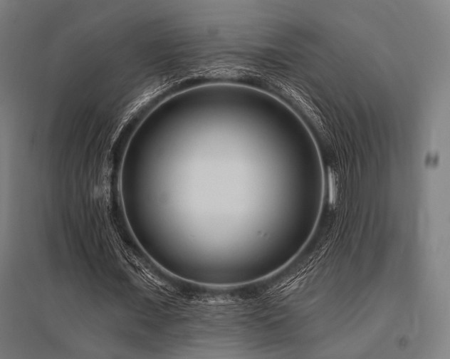 X0000096170675200801181250