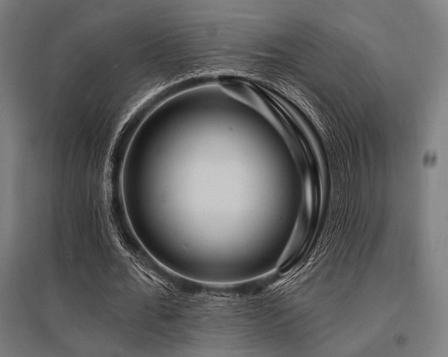 X0000096170676200801181250