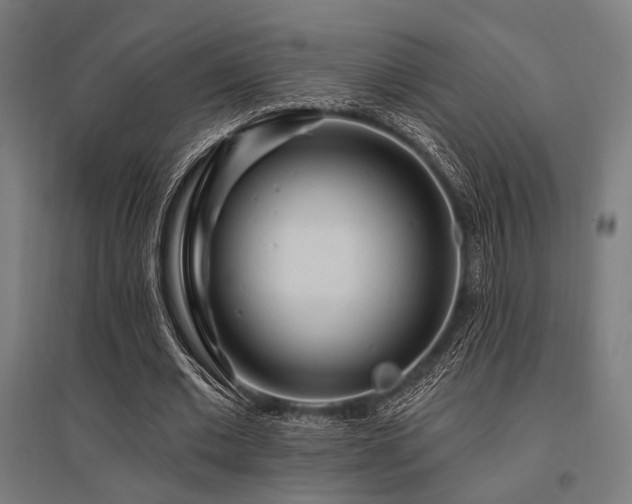 X0000096170677200801181250